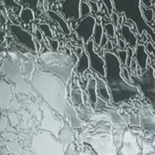 AGC_IMAGIN_DELTA